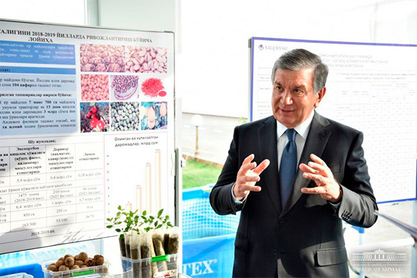 President of Uzbekistan orders strengthened budgetary savings measures for 2025