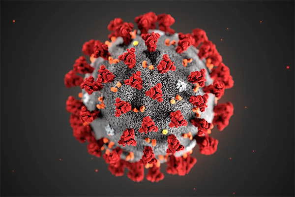 Узбекские учёные создали помидор вакцину от коронавирусной инфекции