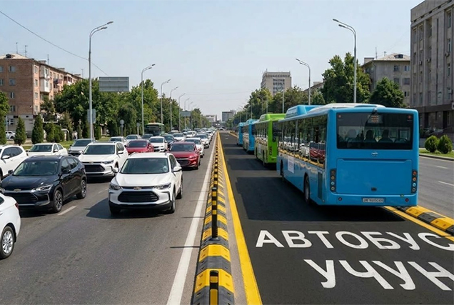 Dedicated Bus Lanes in Tashkent to Get Protective Barriers