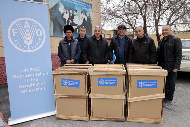 Сёла Ферганской области получили международное признание ФАО, фермеры — доступ к современным технологиям