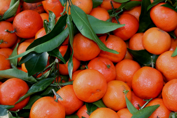 Узбекистан импортировал более 1,1 млн тонн мандаринов за 11 месяцев 2025 года