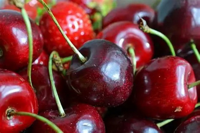 Uzbekistan Exports 25.2 Thousand Tons of Sweet Cherries Worth US$51 Million in First Seven Months of 2025